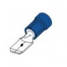 COSSE MALE 4.8mm BLEUE