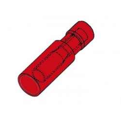 COSSE CYLINDRIQUE FEMELLE ROUGE
