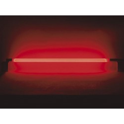 TUBE FLUORESCENT. 58W. ROUGE
