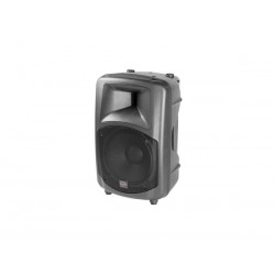 VERSATILE HIGH EFFICIENCY TWO-WAY VENTED 12 LOUDSPEAKER. BLACK
