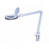  LAMPE-LOUPE LED 8 DIOPTRIES - 8 W - 60 LEDS - BLANC VTLLAMP4WN